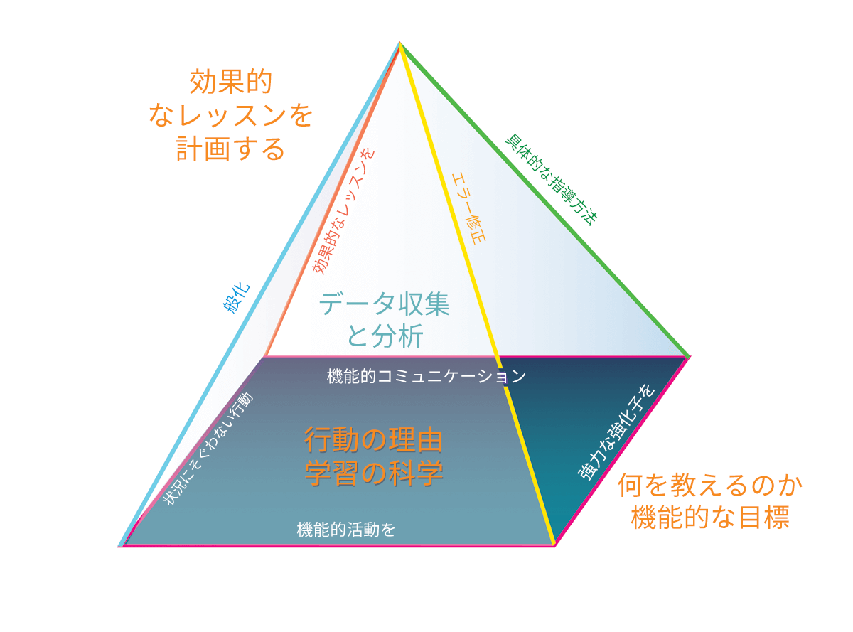 教育へのピラミッド・アプローチ　自閉症　発達障害 自閉症書籍レビュー】教育へのピラミッド・アプローチ第2版 役